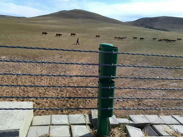 萬寧河道景觀繩索護(hù)欄定制